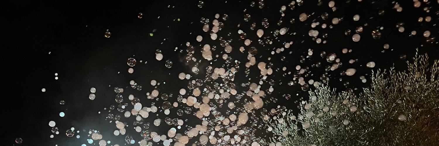 laughing lizzie 🌌 banner