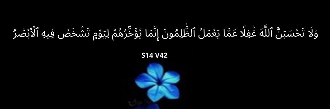 Z banner