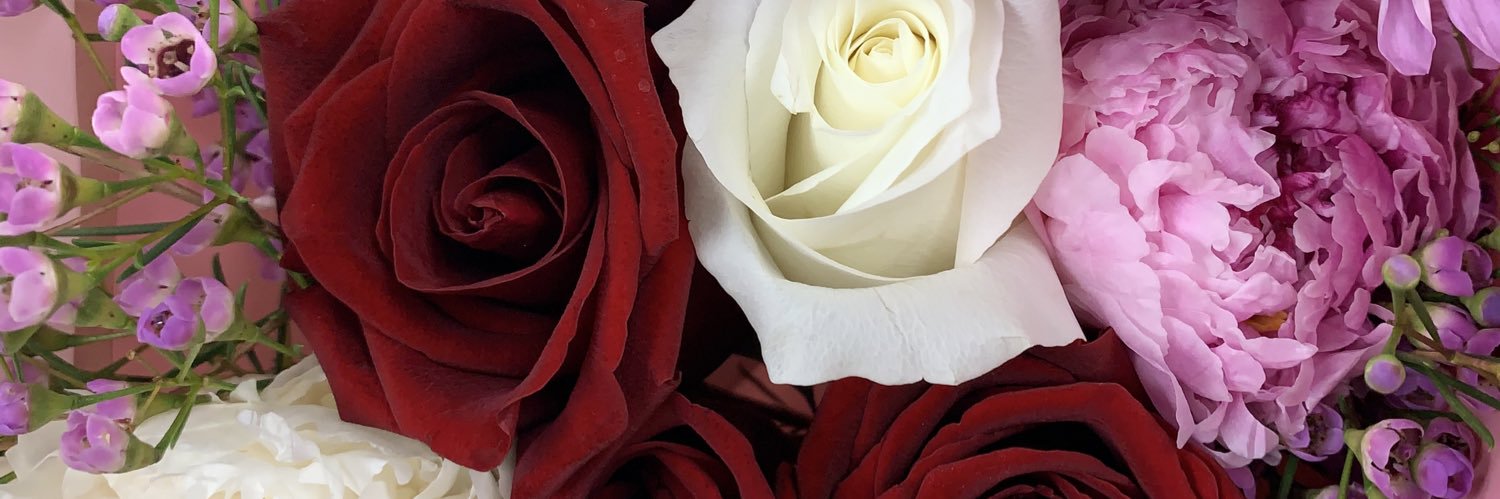 serenasalinas_'s profile banner image