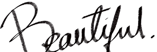 Cynobe banner