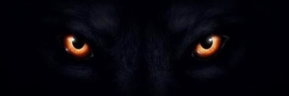 𝓟𝓻𝓮𝓽𝓸 𝓭𝓮𝓼𝓪𝓹𝓮𝓰𝓪𝓭𝓸 banner