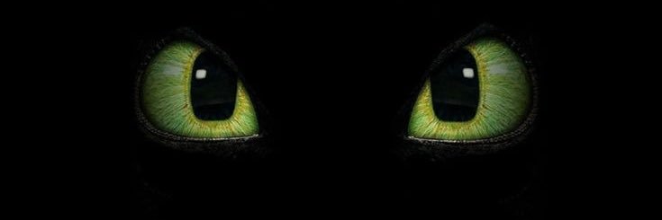 bioralet's profile banner image