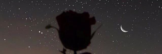 fly_davis235's profile banner image