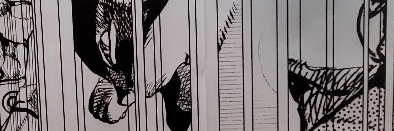 n_s_sc's profile banner image