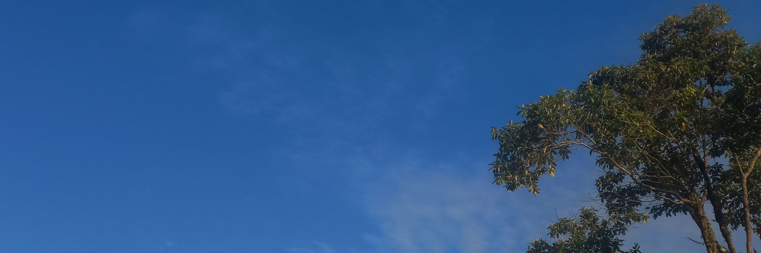 OCTAVIODAV1D's profile banner image
