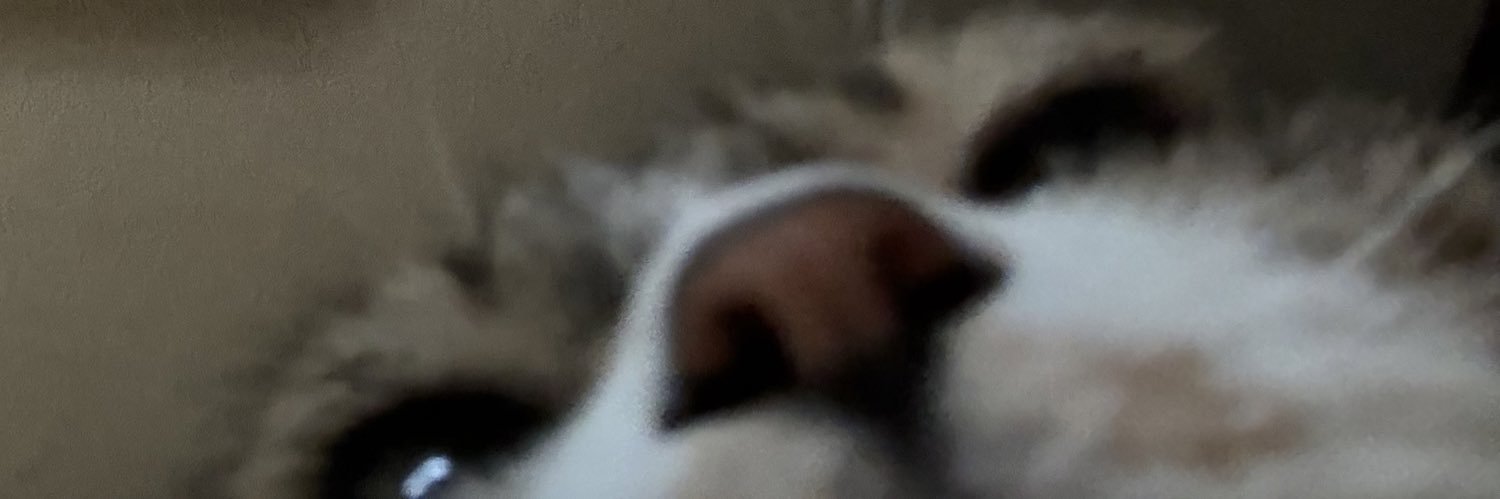 meatball77get's profile banner image