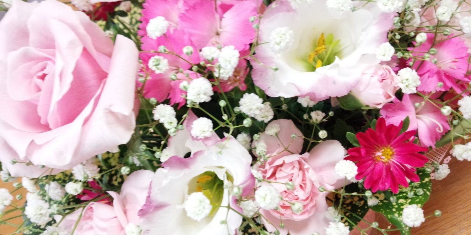 tonoamane's profile banner image
