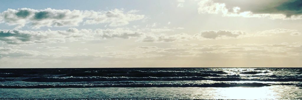 MichelleAndreen's profile banner image