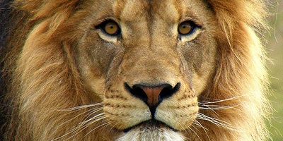 CiColton's profile banner image