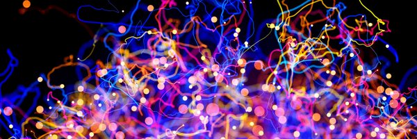 brainwithN Profile Banner