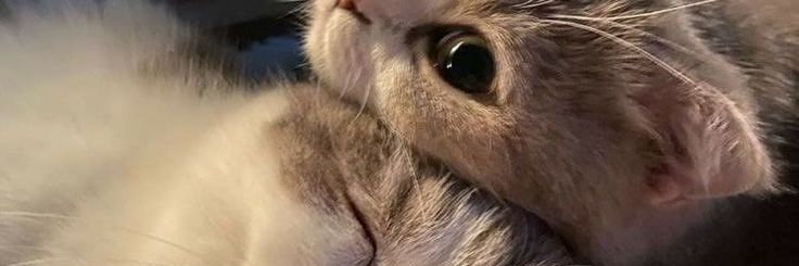TTT999915's profile banner image