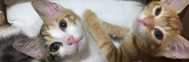 00zlem's profile banner image