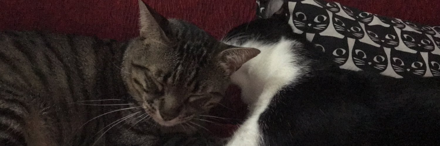 martabliss 🐾 banner