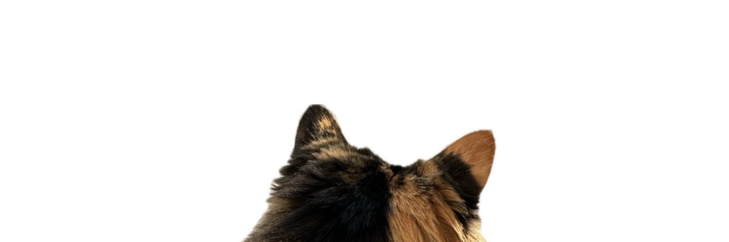 ଘ Sakura ଓ banner