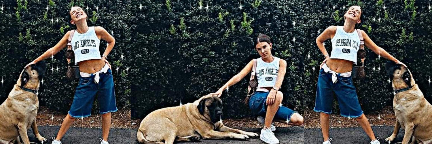 ᴍɪʟʟɪᴇ ᴅᴏɢɢʏ ʙʀᴏᴡɴ banner