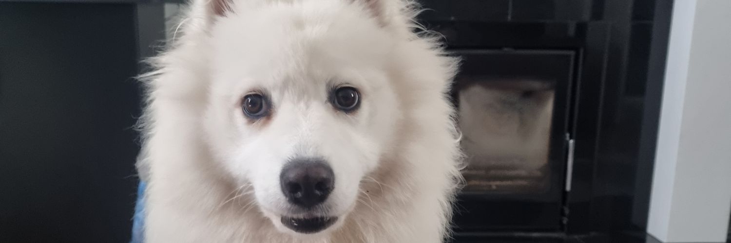 Djbuggy1985's profile banner image