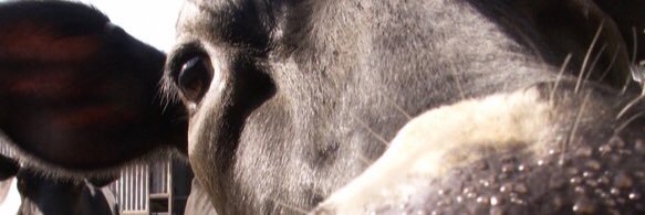 rossedwards20's profile banner image