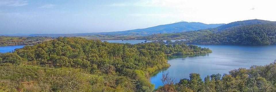 CarlosPinheiro's profile banner image
