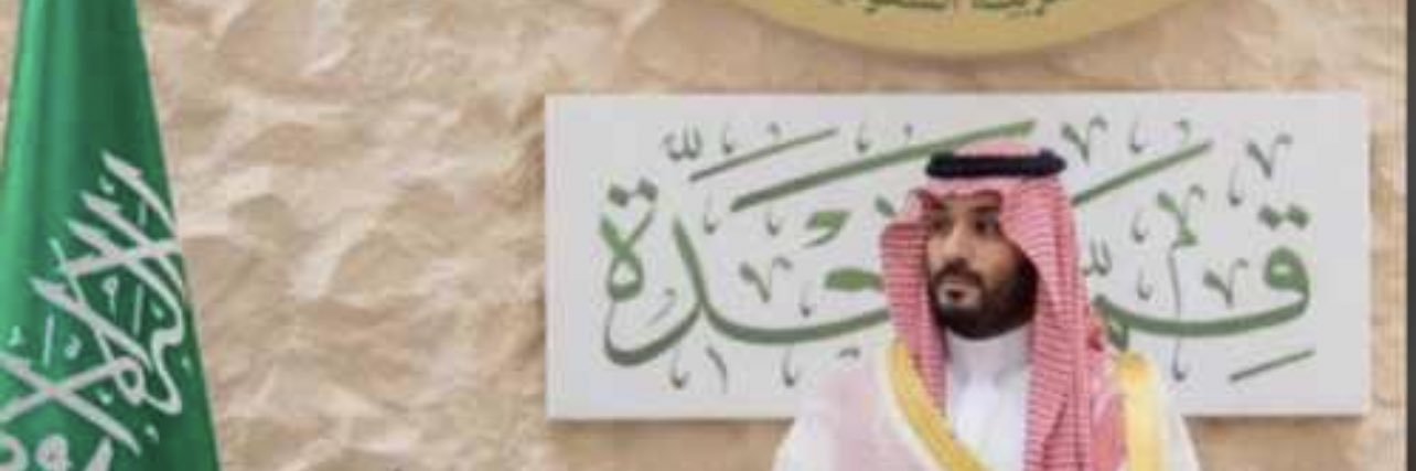 MAJEDALSHAMMRI's profile banner image
