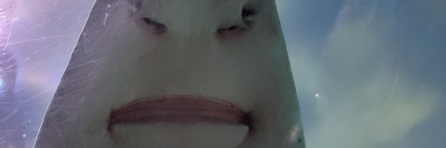 NeddyShneabs's profile banner image