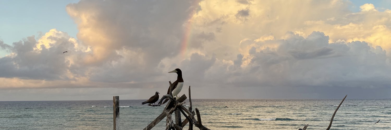 tomtom_allg's profile banner image