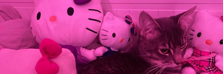 kitty39s's profile banner image