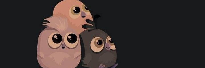 sdrbkv's profile banner image