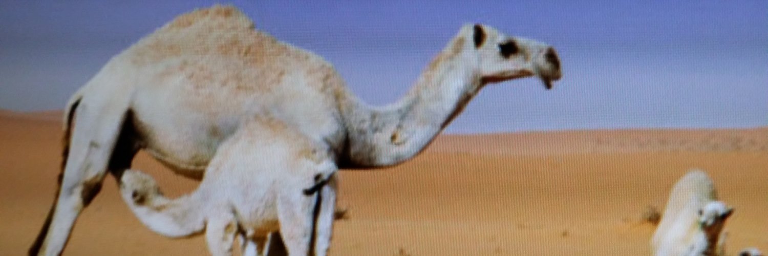 for__essa's profile banner image