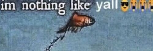 ⊠⊠⊠⊠⊠ banner