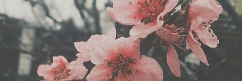sabrina_apitz's profile banner image