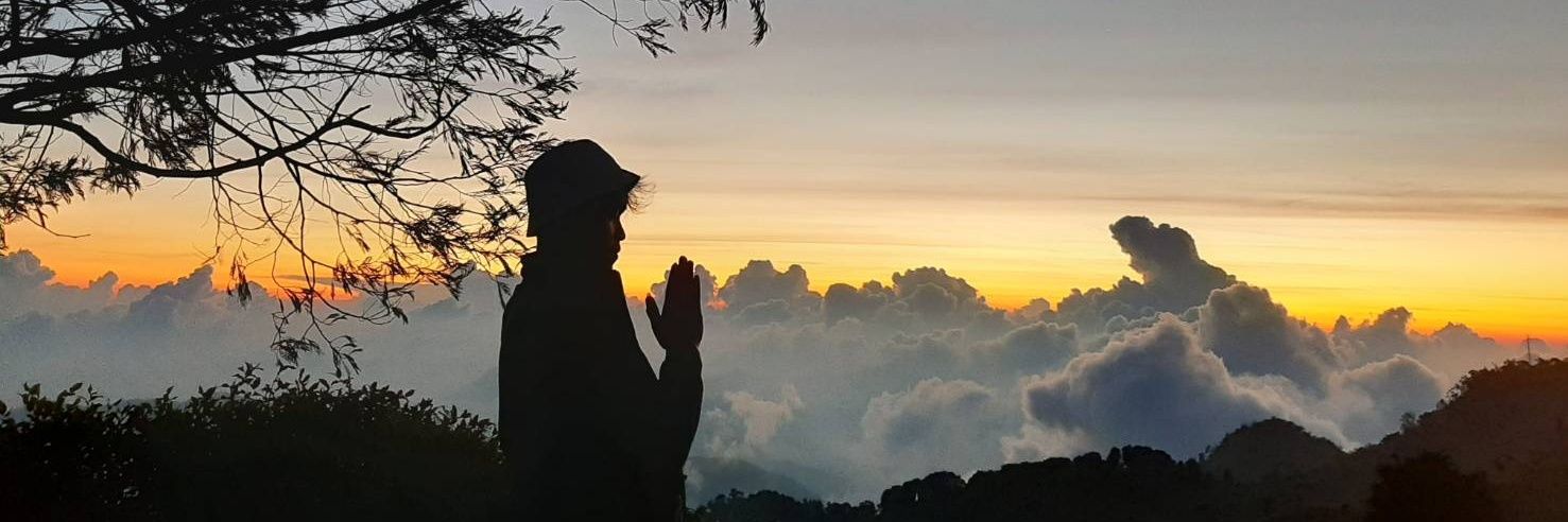rojabirezky's profile banner image