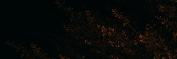 egodeathpress Profile Banner