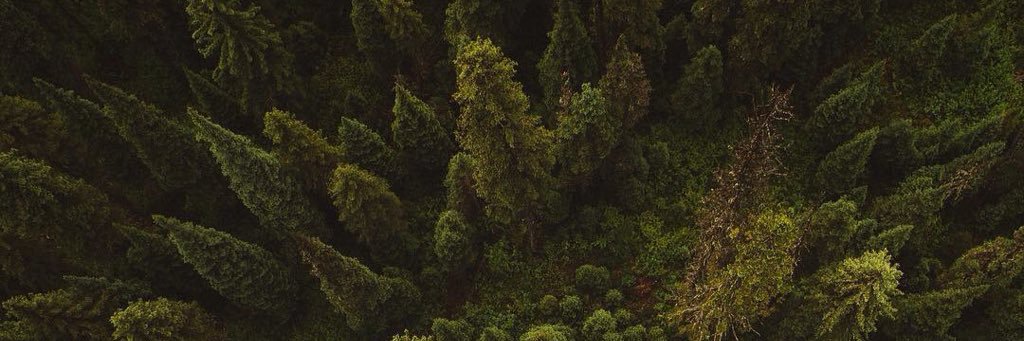 valeruska5's profile banner image