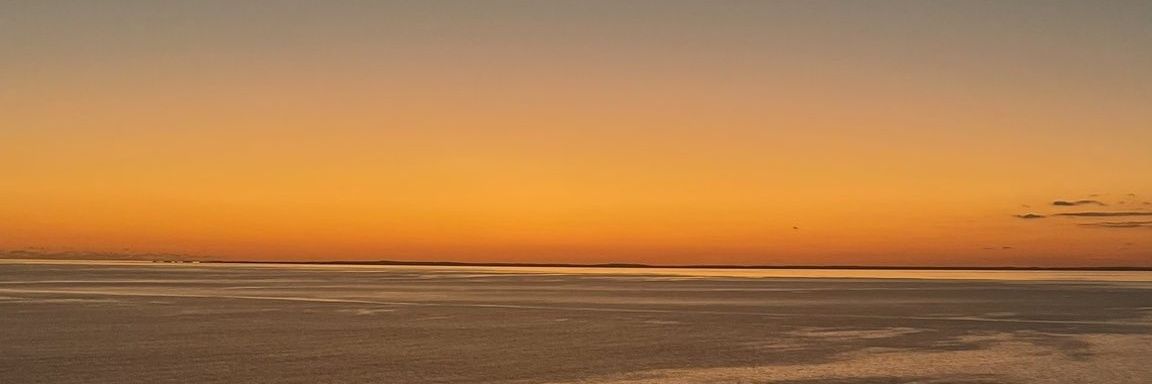 woicher's profile banner image