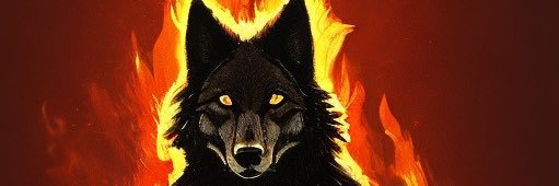 Sarah Wolf banner