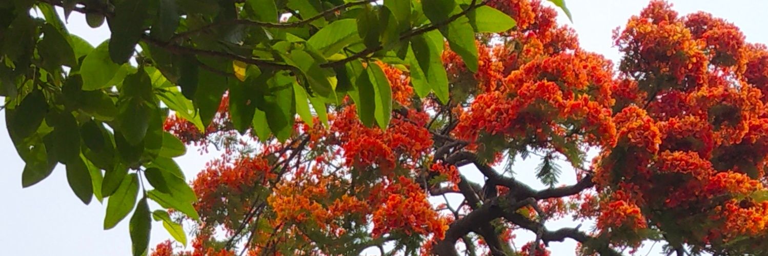 Shailendrad888's profile banner image