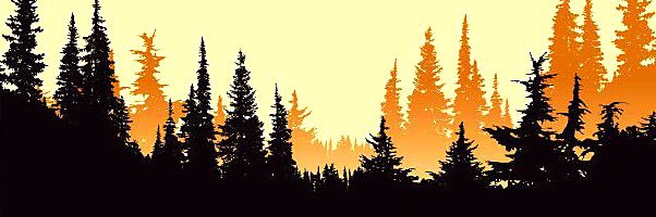 northidahojoe's profile banner image