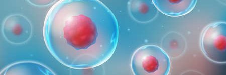 Got Ribosomes? banner