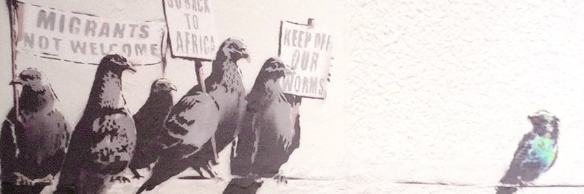 Bruce Edmonds banner