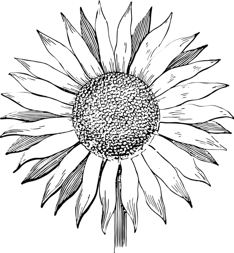 miasgram's profile banner image