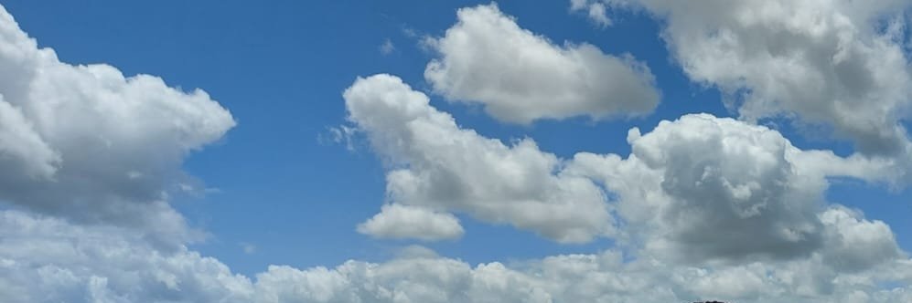 Gabriel Sady banner
