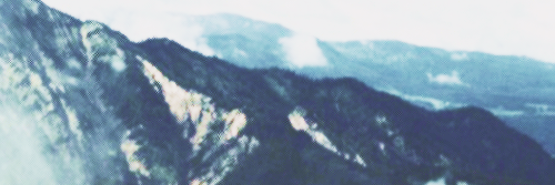 latersmissteele's profile banner image