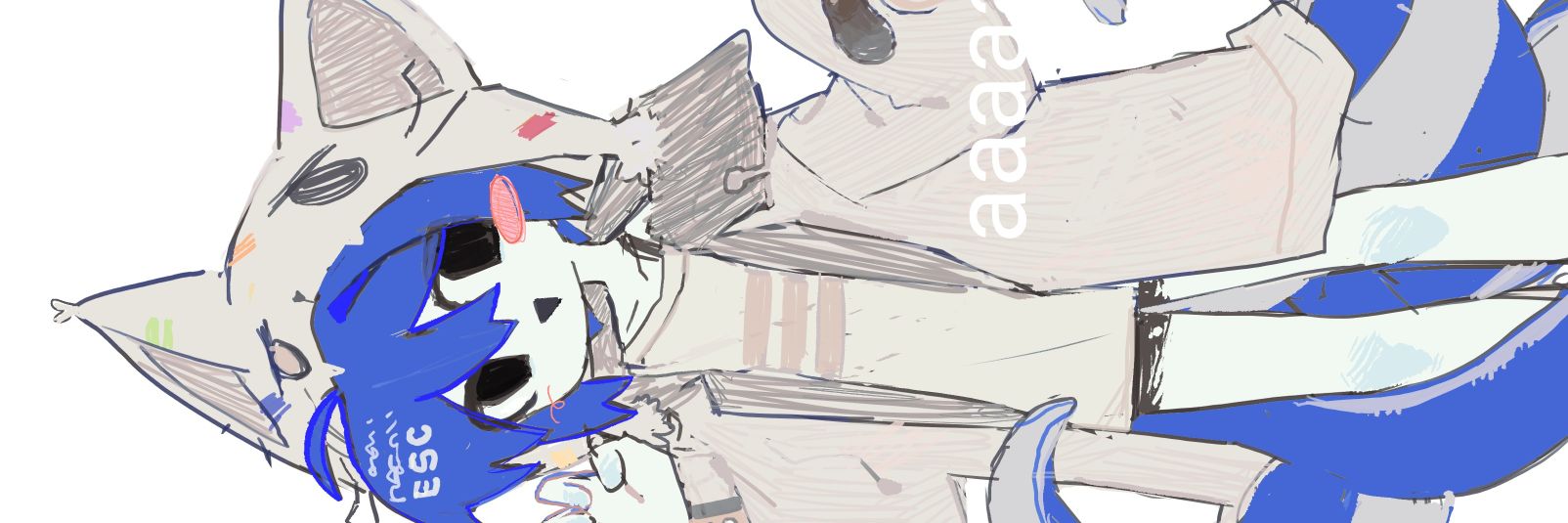 N_0P's banner