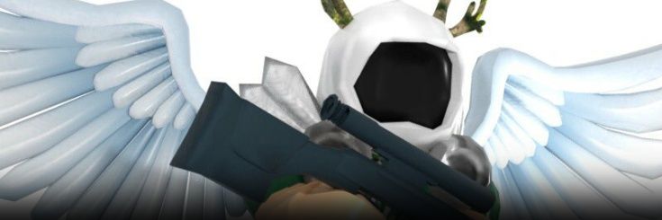striker's banner