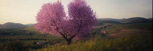 greendreaams Profile Banner