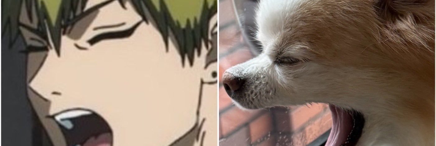 torako225's profile banner image