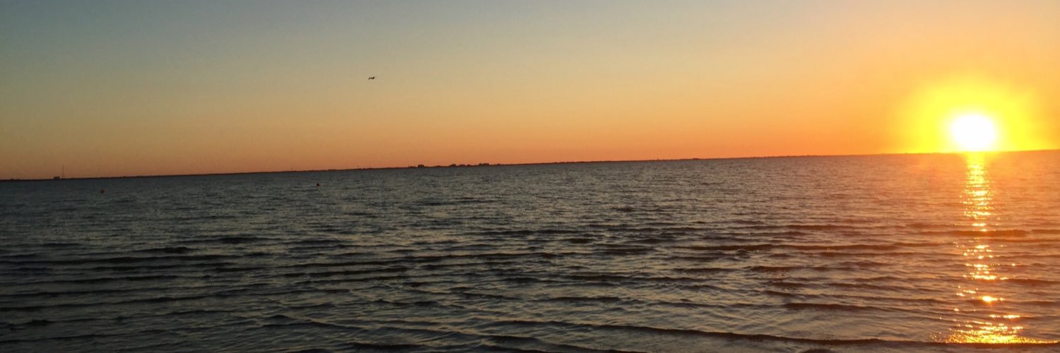 DimpleFaceRubi's profile banner image