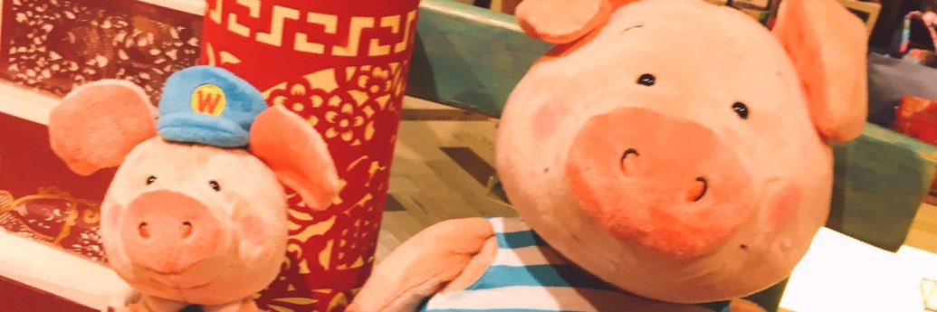 skg_ny's profile banner image