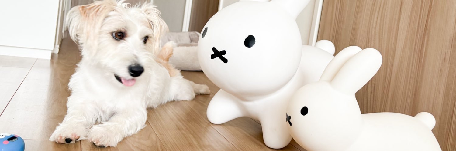 petitnatty's profile banner image