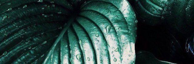 KaitlynTran6's profile banner image
